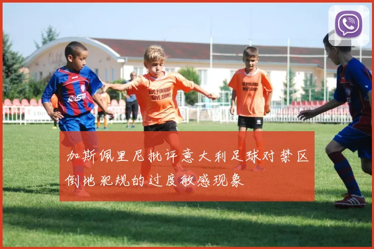 加斯佩里尼批评意大利足球对禁区倒地犯规的过度敏感现象