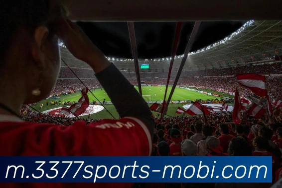 多媒体互动体验